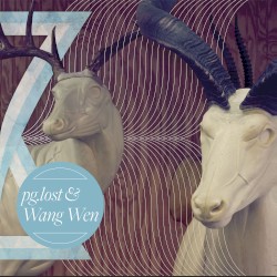 pg.lost / Wang Wen