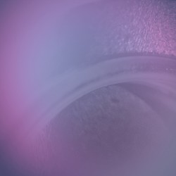 Autophagie Symphonia