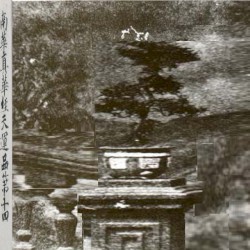 Seven Bamboo Strips of the Cloud Hidden Satchel