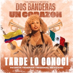 Tarde lo conocí (regional mexicano)