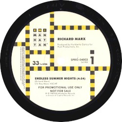 Endless Summer Nights