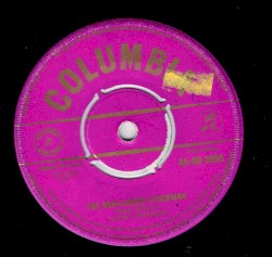 The Bow Legged Stockman