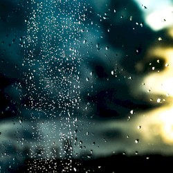 rain outside my window