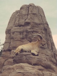 Lowered Expectations