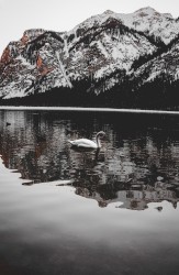 Decomposition of All Frontal Lobe Activity Promotes Post-Violent Shanti