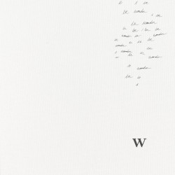 Wonder