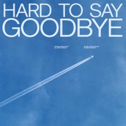 Hard to Say Goodbye