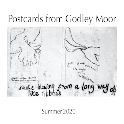 Postcards from Godley Moor, Summer 2020