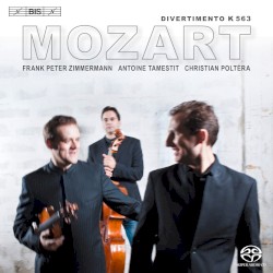 Divertimento K. 563