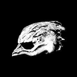 Legend of the Seagullmen