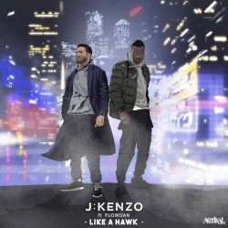 Like A Hawk / Kenzo's Darkside VIP