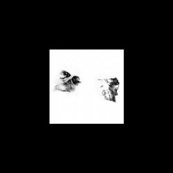 Rarities From Extremities