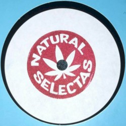 Political Pressure / Melodica Decompression