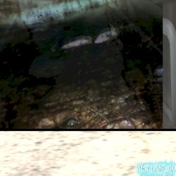 three docks to jump from