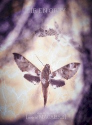 TOUR16-17 FROM DEPRESSION TO ________ [mode of MACABRE]