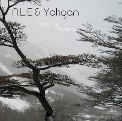 Tribal Trip ( Alchemy )