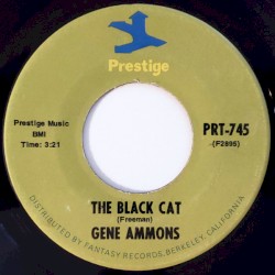 The Black Cat / Something