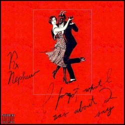 I Forgot What I Was About 2 Say