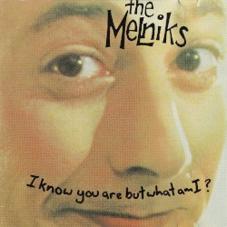 I Know You Are but What Am I?