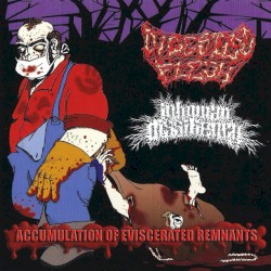 Accumulation of Eviscerated Remnants