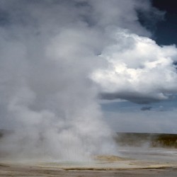 Because of All You Want