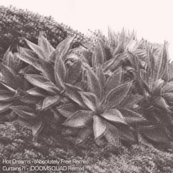 Hot Dreams (remixes)