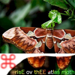 Rise Ov Thee Atlas Moth
