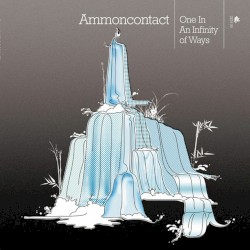 One in an Infinity of Ways