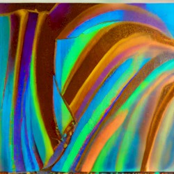 Thank You For Your Feedback (i)