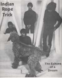 Indian Rope Trick: The Echoes of a Dream