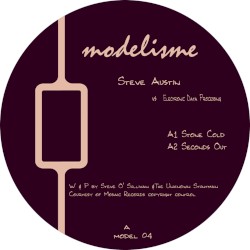 Steve Austin vs Electronic Data Processing