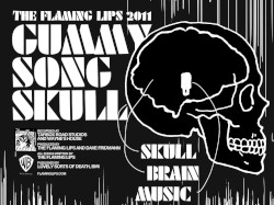 Gummy Song Skull