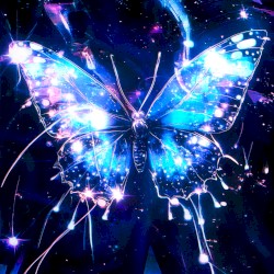 Montagem Butterfly Effect