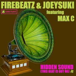 Hidden Sound (This Beat Is Got Me)