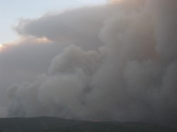 Terrorized Smoke Man