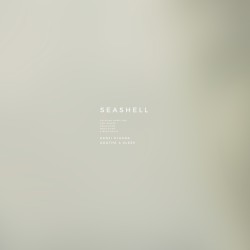 Seashell