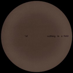 Nothing Is a Field