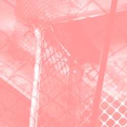 All Intensive Purposes