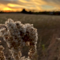 Seven Fields to Run Across…Seven Hills to Climb