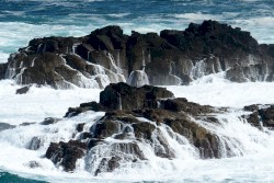 Four Hands Stage - Part II