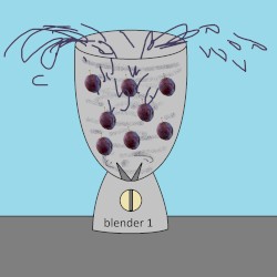 Prune Juice