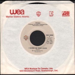 I Wanna Be Your Lover