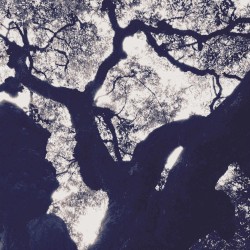 Fear of Not Feeling Nothing