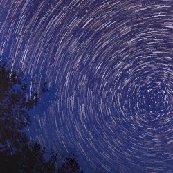 Keep Your Head Held High