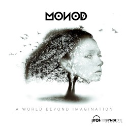 A World Beyond Imagination