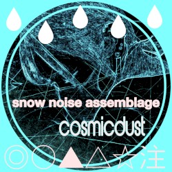 snow noise assemblage