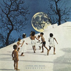 Under the Reefs Orchestra