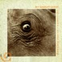 Masters Of Psychedelia