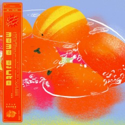 Until the Morning Comes