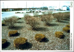 Le désir / Water to Our Ankles